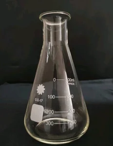 Erlenmeyer 500 mL