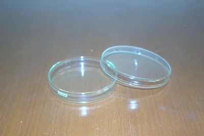 Petri Dish Kaca IWAKI 90 mm